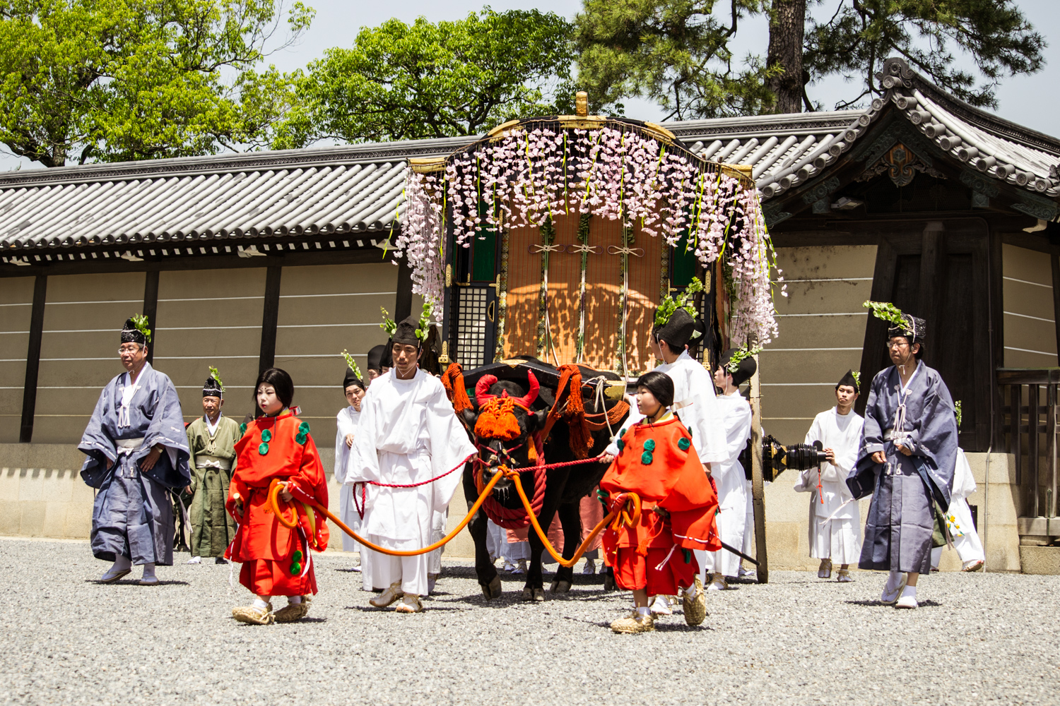 伝統【嵯峨談語】